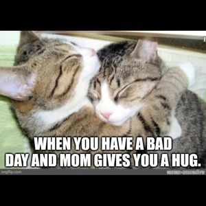 Read Laugh Follow Share 😄😂😎